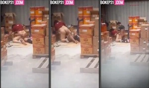 Karyawan Pabrik Ngewe Digudang Sepi – Bokep Indo
